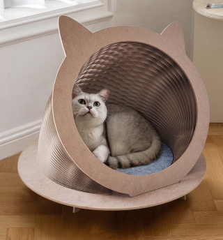Foldable Organ Paper Cattery