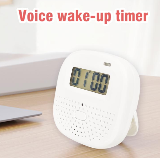 Voice Control Timer