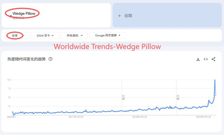 Wedge Pillow